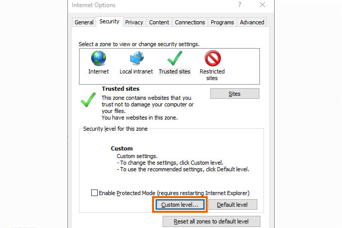 Internet Explorer trusted sites custom security level