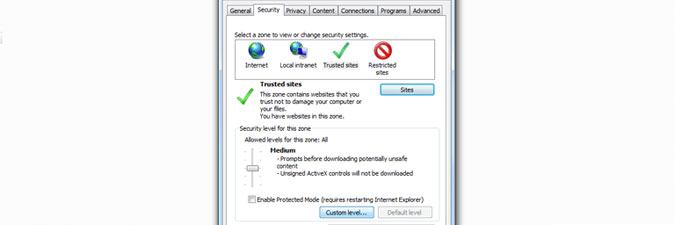 Trusted Sites custom security level in Internet Explorer