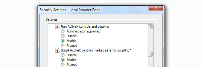 Internet Explorer, Run ActiveX controls and plug-ins