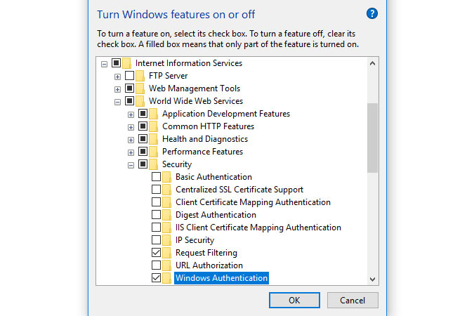 enabling Windows Authentication in Internet Information Services