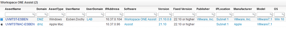 VMware Workspace ONE Assist example